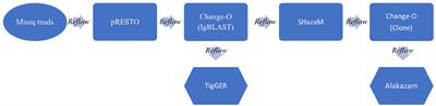 Functional Enrichment and Analysis of Antigen-Specific Memory <mark class="highlighted">B Cell Antibody</mark> Repertoires in PBMCs